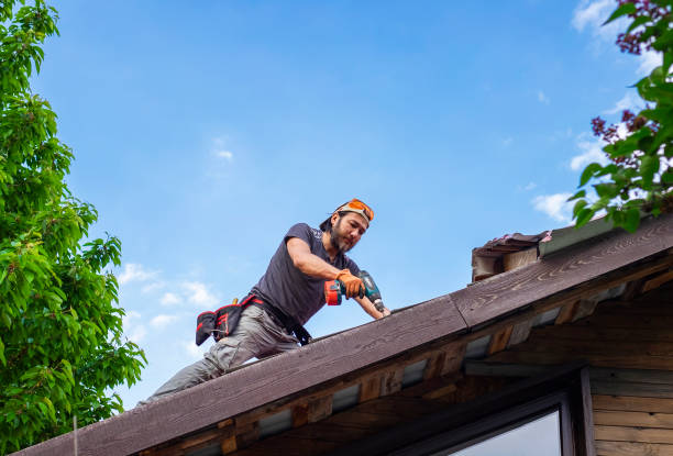 Best Roof Insulation Installation  in Bismarck, ND