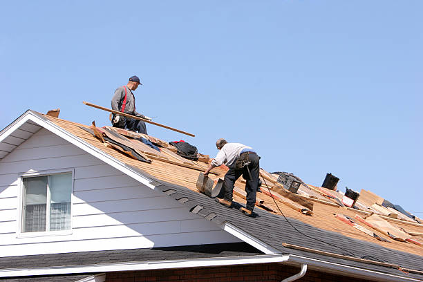Best Rubber Roofing (EPDM, TPO)  in Bismarck, ND